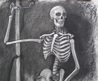 Detail of a Skeleton Drawing by Kristine R Synowka